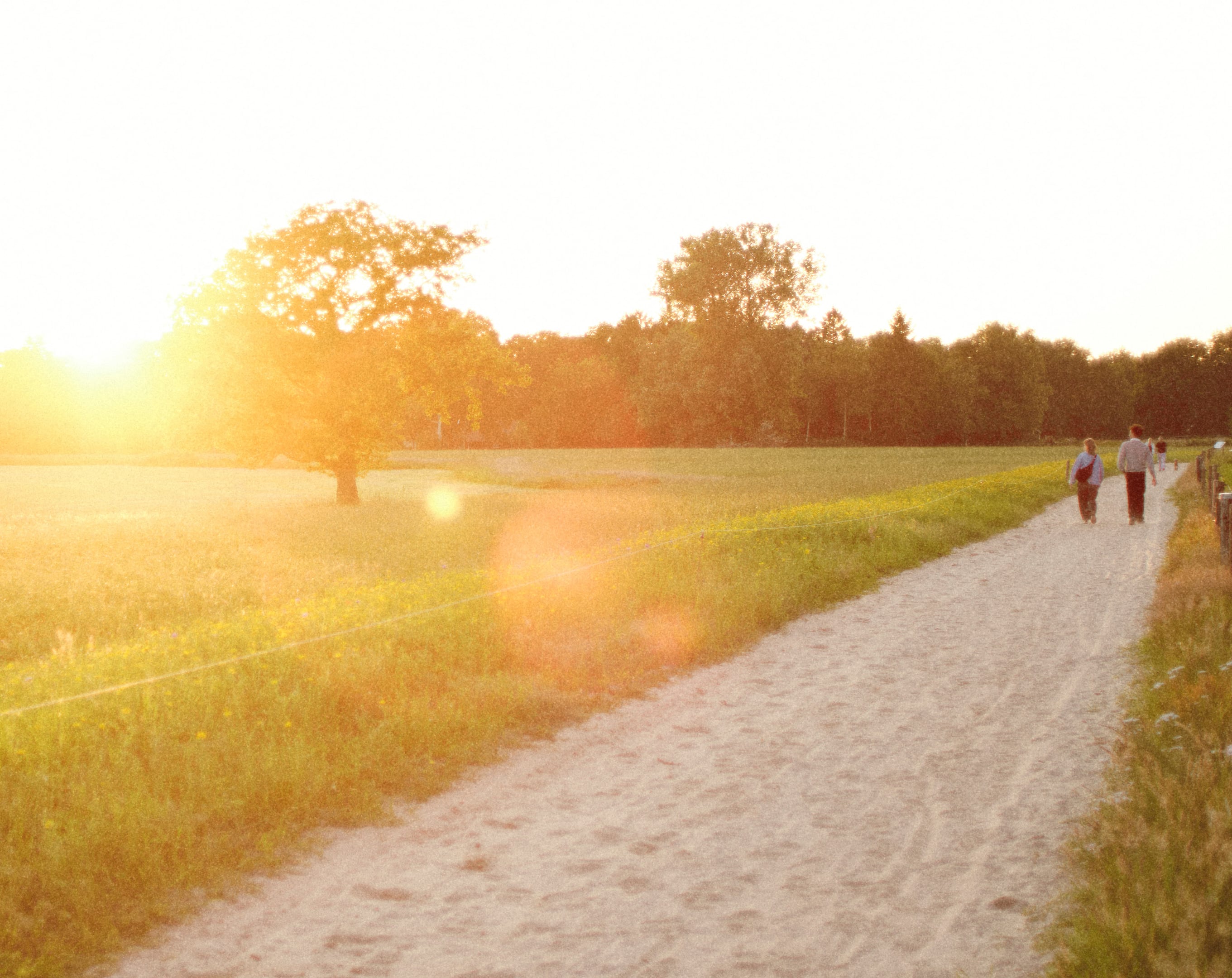 Generieke afbeelding van een nieuws artikel