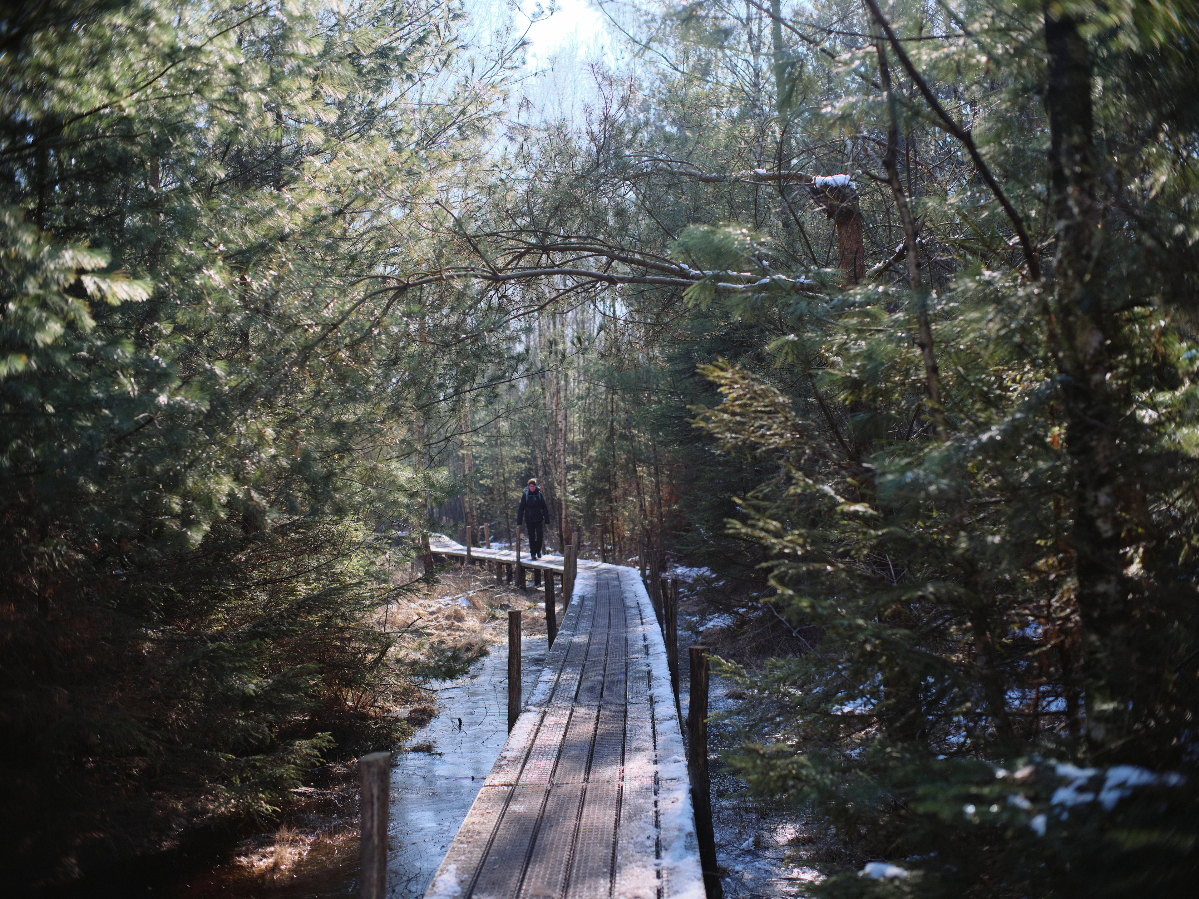 Generieke afbeelding voor image content